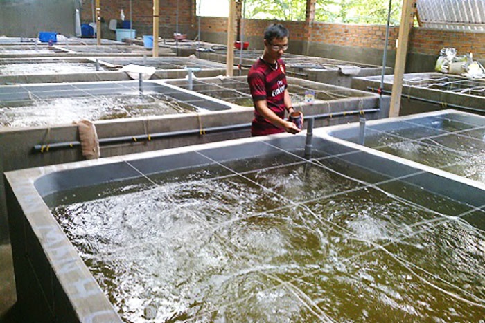 sản xuất giống